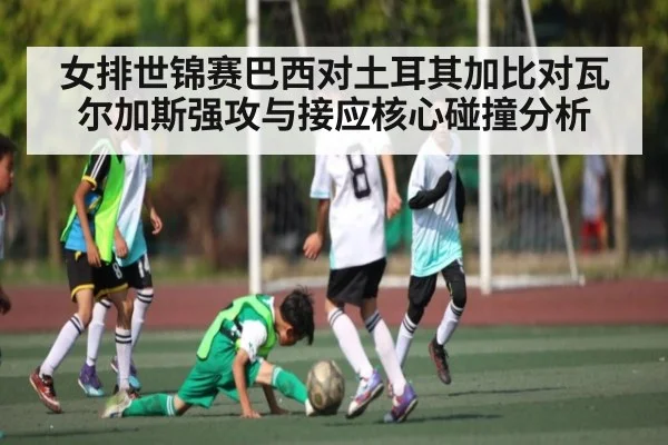女排世锦赛巴西对土耳其加比对瓦尔加斯强攻与接应核心碰撞分析 | kaiyun sports